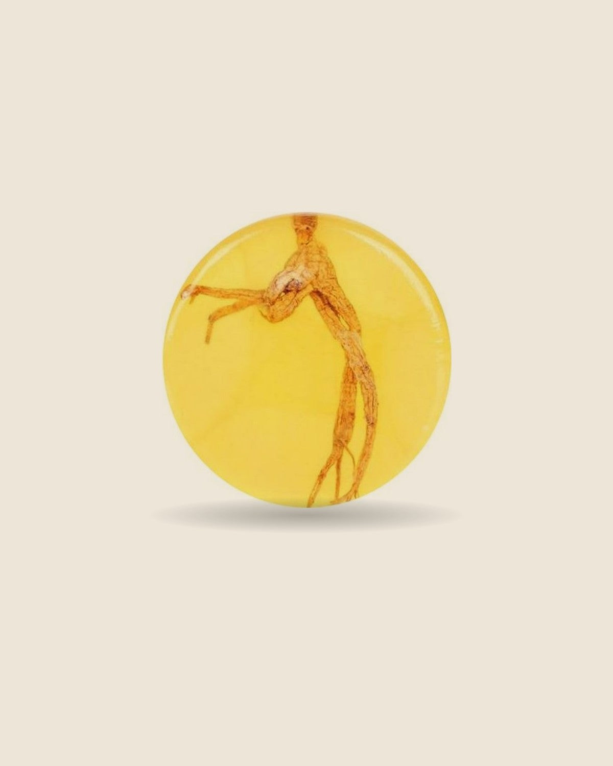 Clear golden ginseng soap bar with a ginseng root inside